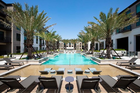 A large pool surrounded by palm trees and lounge chairs.