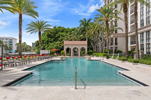 A pool surrounded by palm trees and lounge chairs.