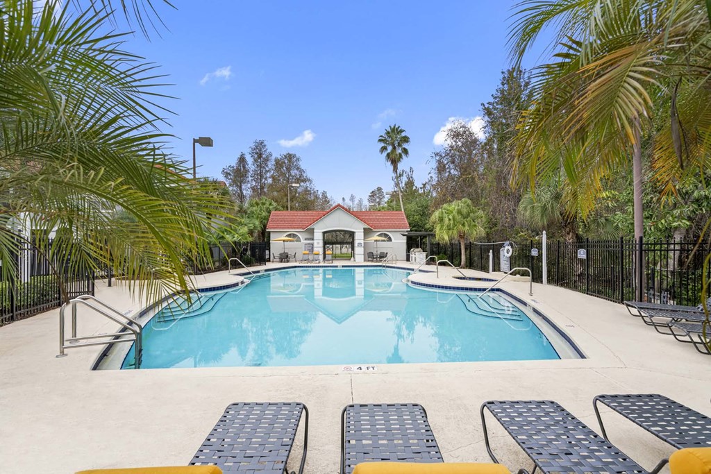 Luxurious Pool at Windsor Highwoods Preserve, Tampa, 33647 