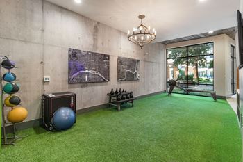the gym atrium at the house