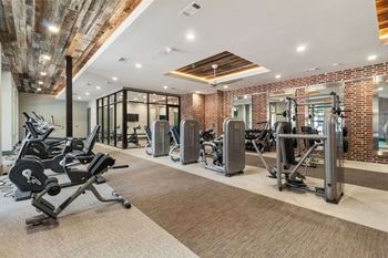 the gym is equipped with cardio equipment and weights