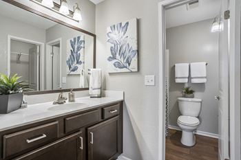 Framed Mirrors
