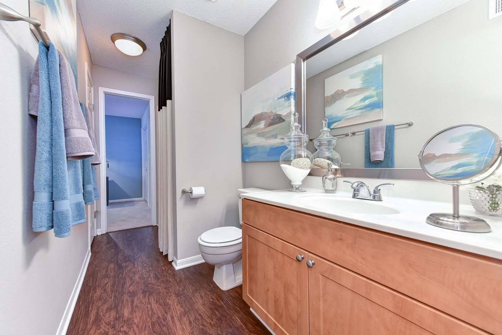 Windsor Oak Creek - Modern Bathroom with a toilet sink and mirror in Fairfax VA
