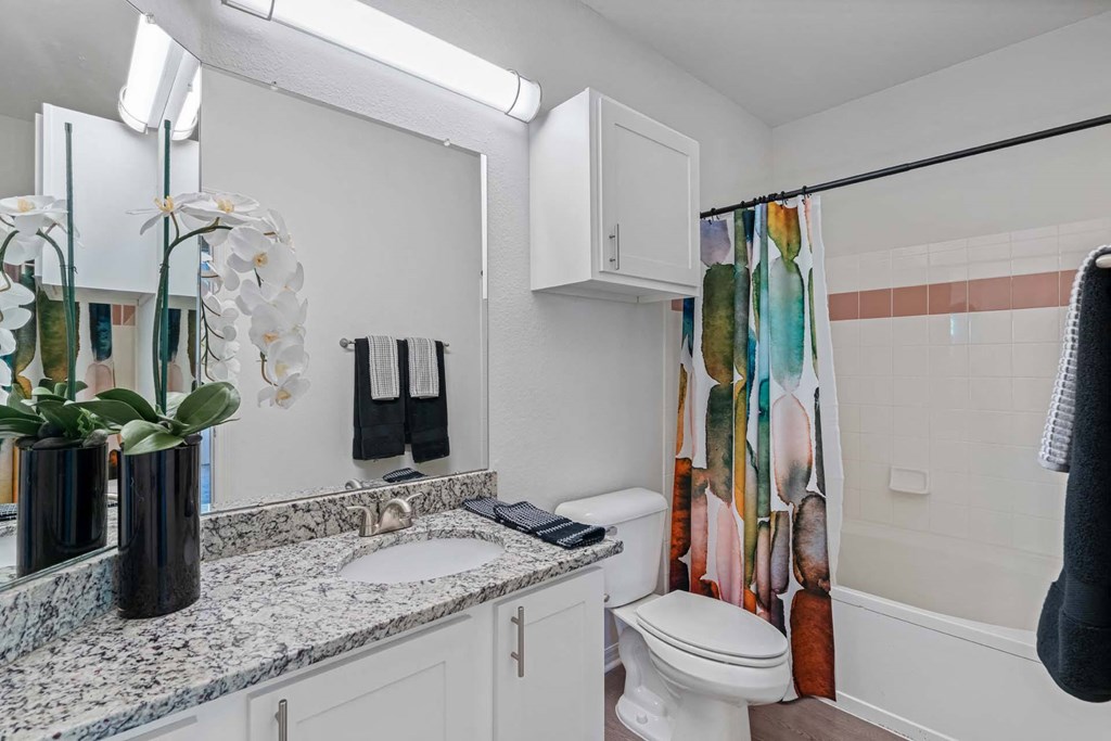 Bathroom at Windsor Highwoods Preserve in Tampa