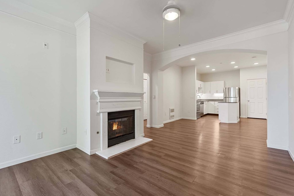 Reflections By Windsor