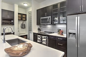 Modern appliances at Windsor Fitzhugh, Dallas, TX