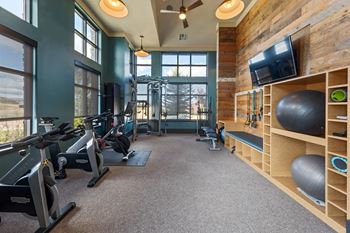 the gym has plenty of exercise equipment and a tv