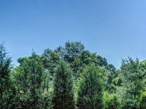 100 Best Apartments In Hudson Valley Ny With Reviews Rentcafe