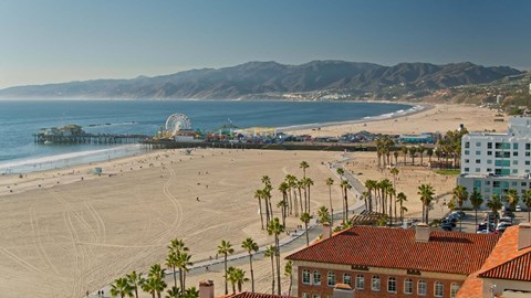 A beach with palm trees and a pier in the distance.