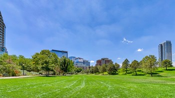 Ample green space at The Manhattan, 1801 Bassett Street, CO - Photo Gallery 40