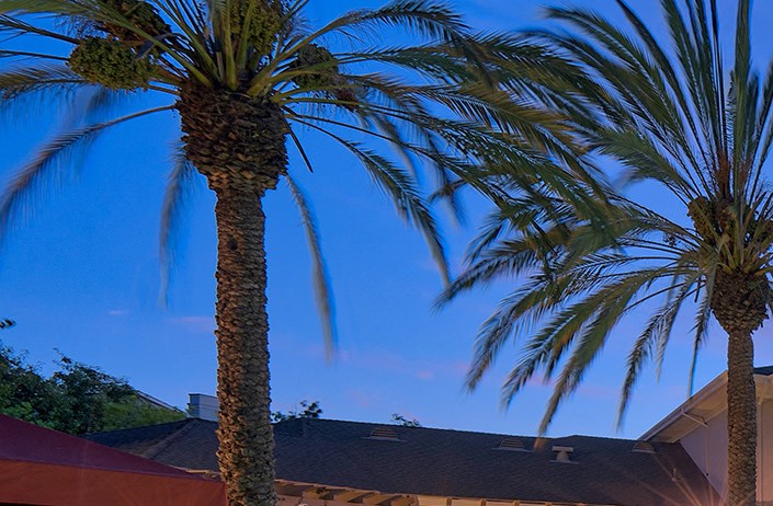 The Estates At Park Place Luxury Apartments In Fremont Ca Home