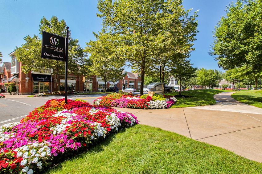 On Site Management On-Site Management at Windsor at Oak Grove, Melrose, MA