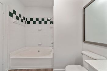 a bathroom with a sink and a toilet and a shower