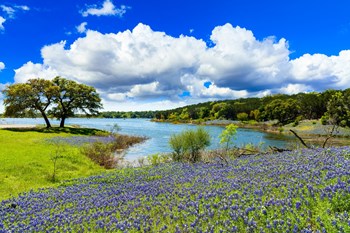Serene Hill Country setting at Yaupon by Windsor, Austin - Photo Gallery 35