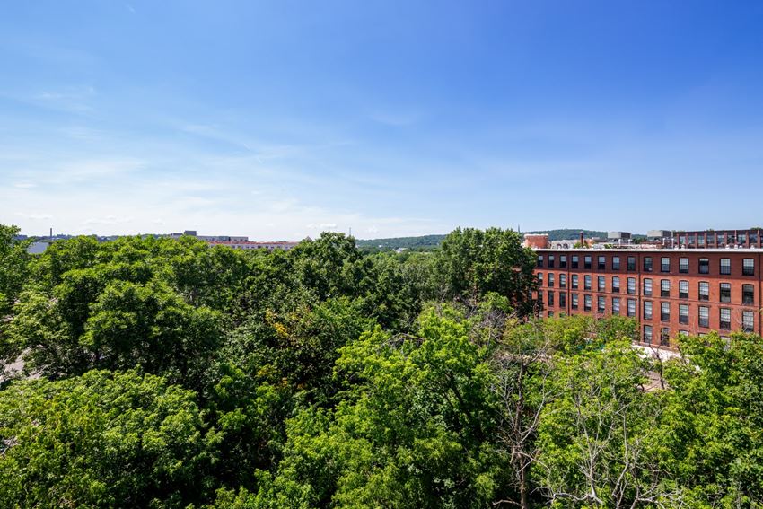 Green Spaces With Mature Trees Green Spaces With Mature Trees at Edison on the Charles by Windsor, Waltham, Massachusetts - Photo Gallery