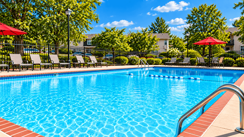 A swimming pool surrounded by trees and chairs.
