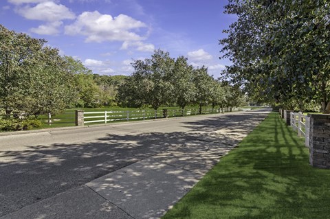 A long driveway with a white gate and green trees on both sides.