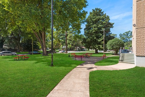 A park with a walking path, benches, and trees.