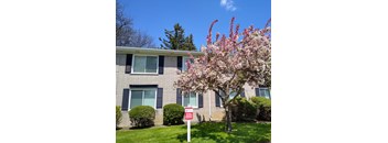 an apartment building with a flowering tree in front