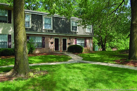A tree stands in front of a house.