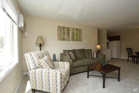 A living room with a patterned chair and a couch.