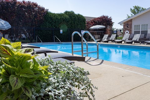 A pool surrounded by green plants and chairs.