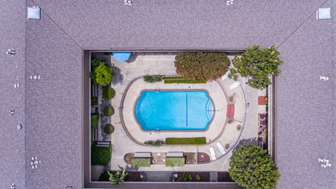 A pool surrounded by trees and bushes.