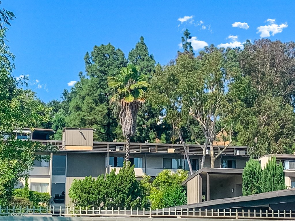 Annandale Terrace Apartments
