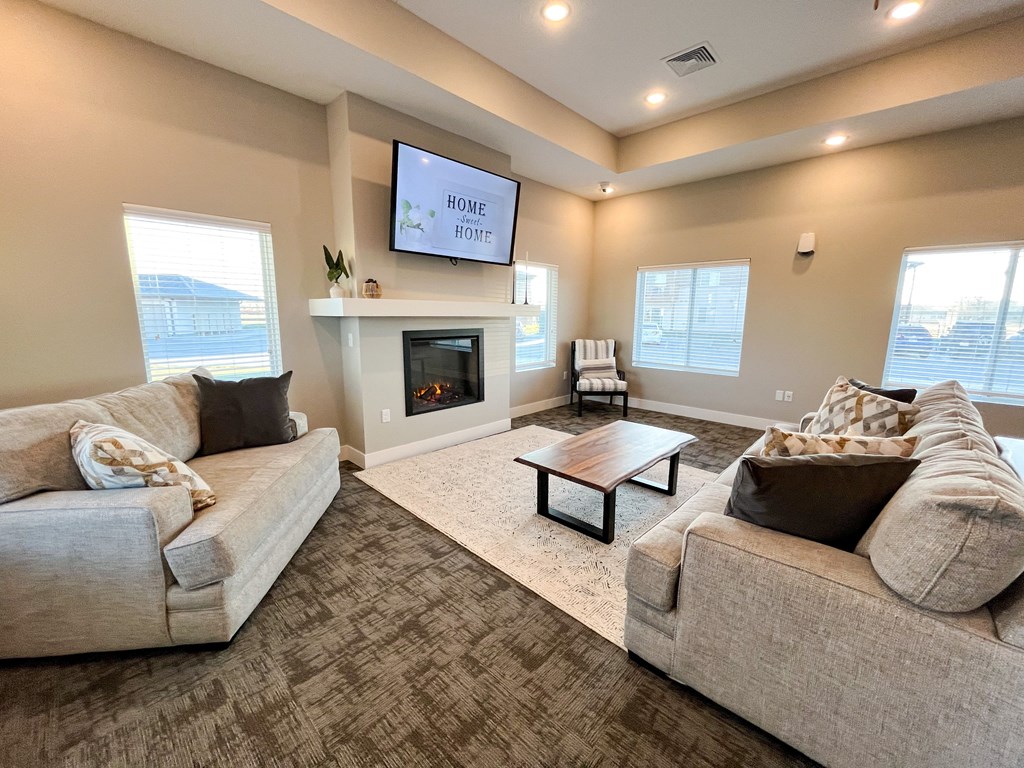 a living room with couches and a tv and a fireplace