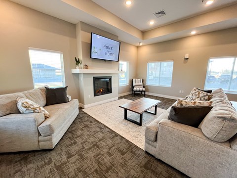 a living room with couches and a tv and a fireplace