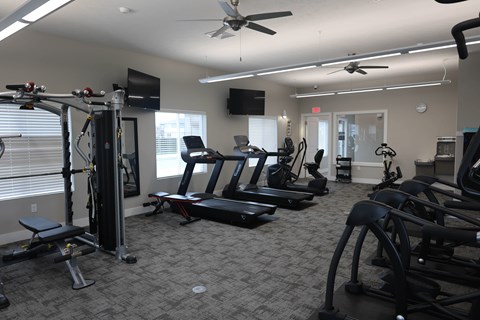 A gym with a variety of equipment including treadmills, weights, and a television.