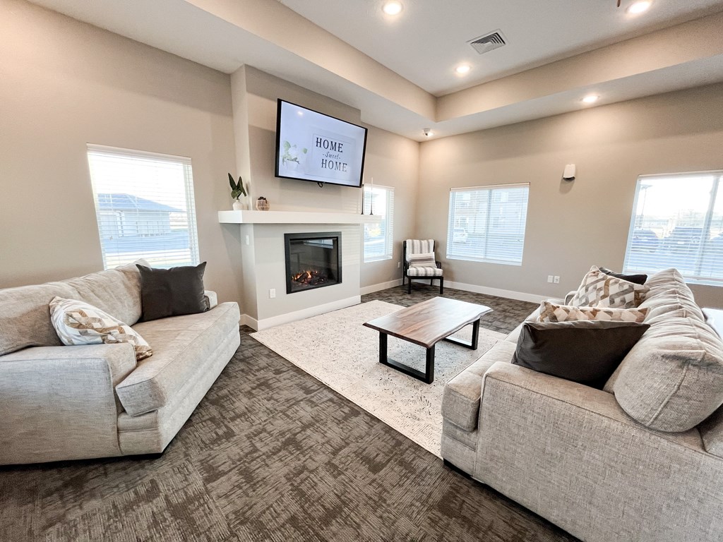 a living room with couches and a tv and a fireplace