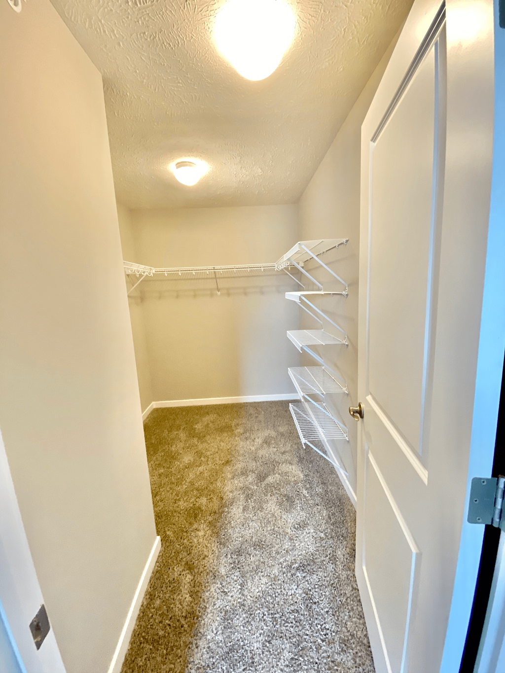 an empty closet with empty shelves and a white door