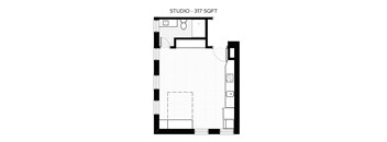 A floor plan of a studio apartment is shown with a total area of 317 square feet.