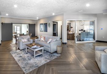 A modern living room with a grey rug and a white sofa.