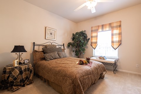 A bedroom with a bed, a nightstand with a lamp, a window with curtains, and a plant.