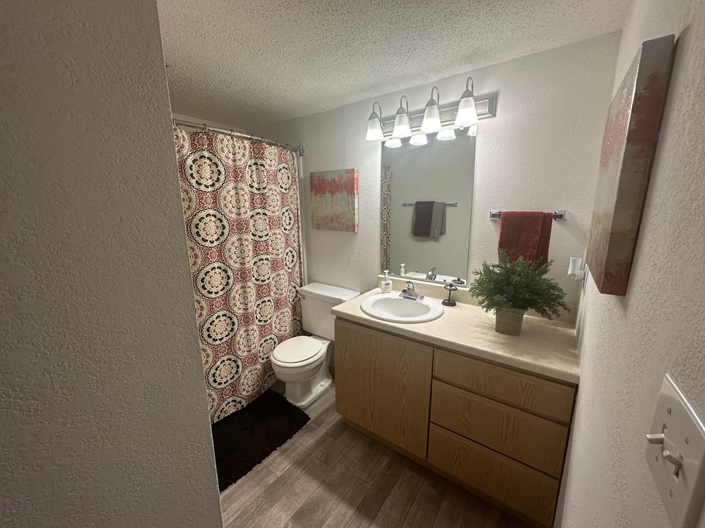 Open bathroom with a sink, toilet, and modern fixtures in a Park 25 Apartments model unit.