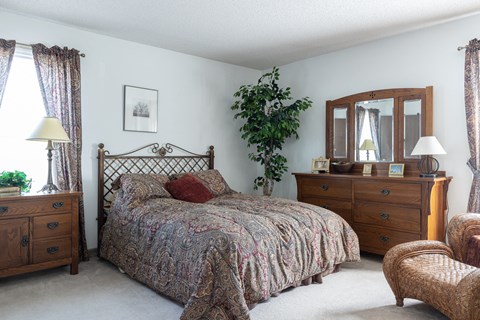 a bedroom with a bed and a dresser