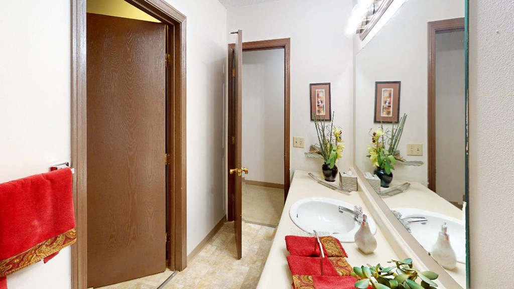 a bathroom with a sink and a mirror