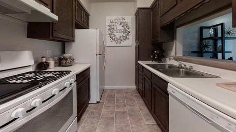 a kitchen with a stove and a sink and a refrigerator