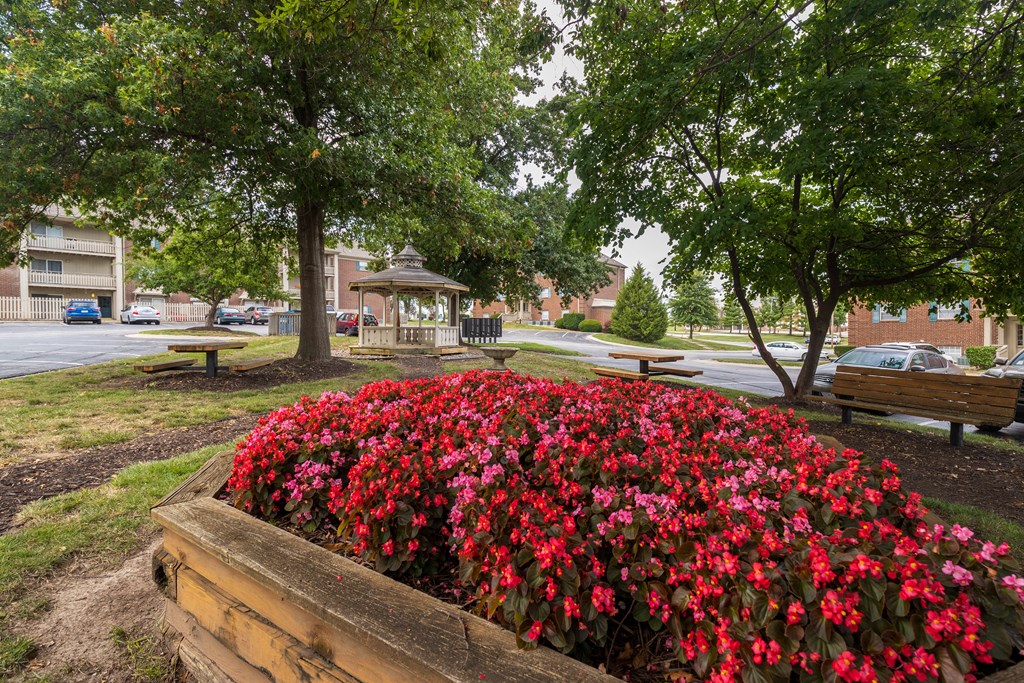 A vibrant flower bed filled with red flowers, with trees in the background.