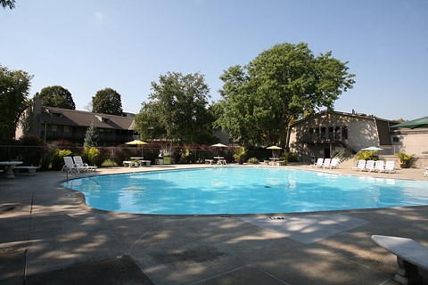 A swimming pool at Eden West, surrounded by a calm and inviting atmosphere.