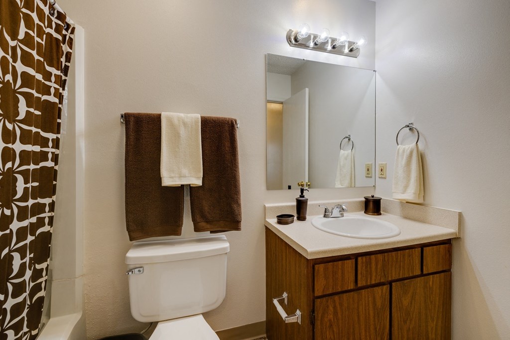 a bathroom with a toilet and a sink and a mirror