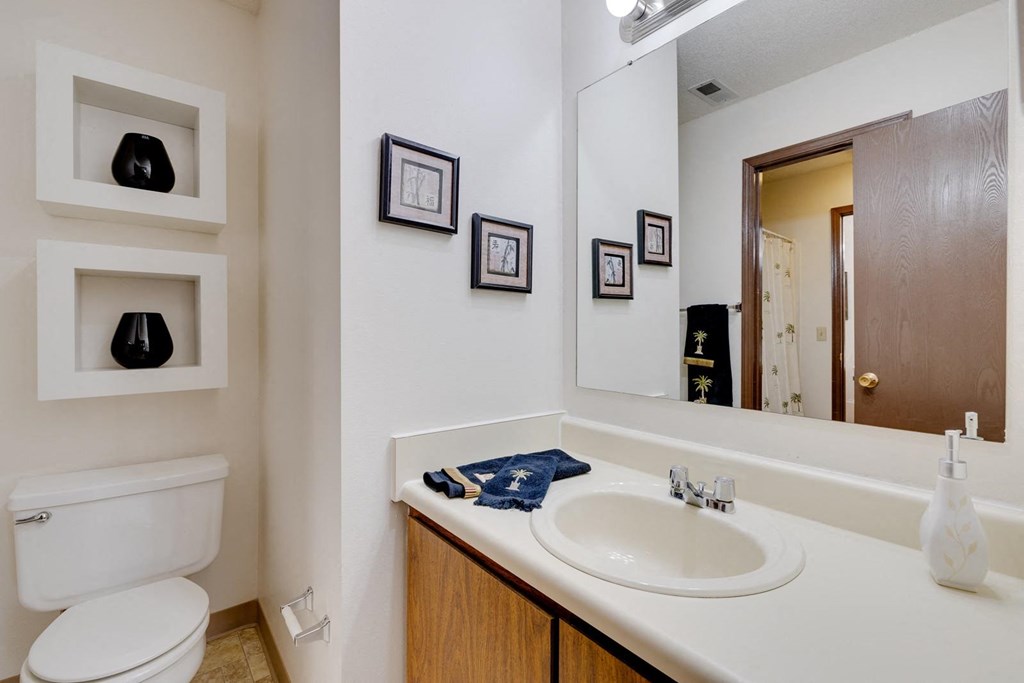 a bathroom with a sink and a toilet and a mirror