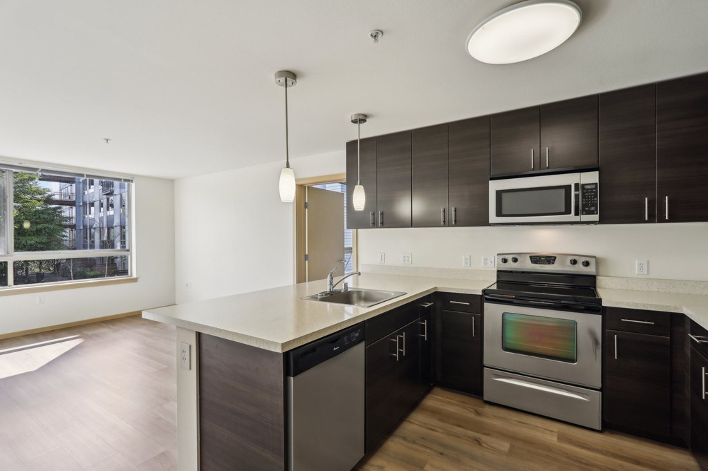 A modern kitchen with black cabinets and stainless steel appliances.