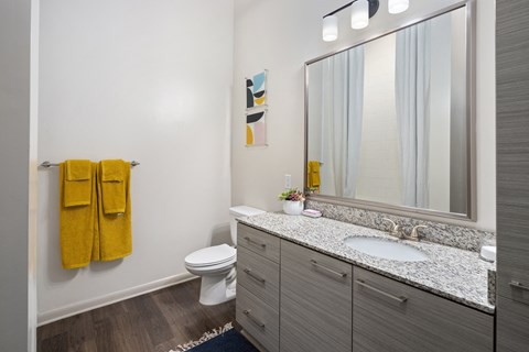 a bathroom with a large mirror and a sink and a toilet