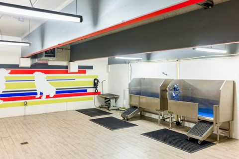a commercial kitchen with a large stainless steel refrigerator and a sink with a dog mural