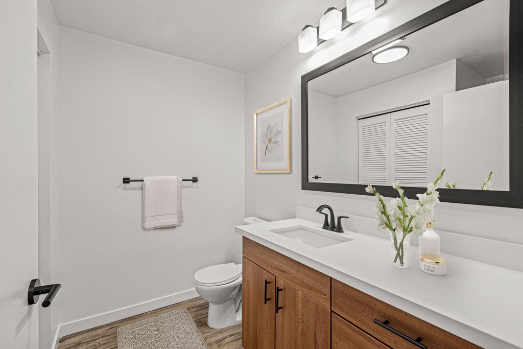 a bathroom with a toilet sink and mirror