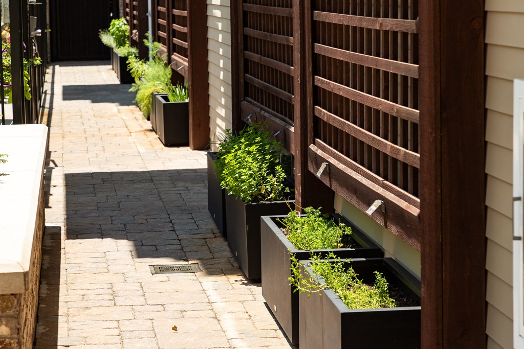 a row of boxes with plants outside a building