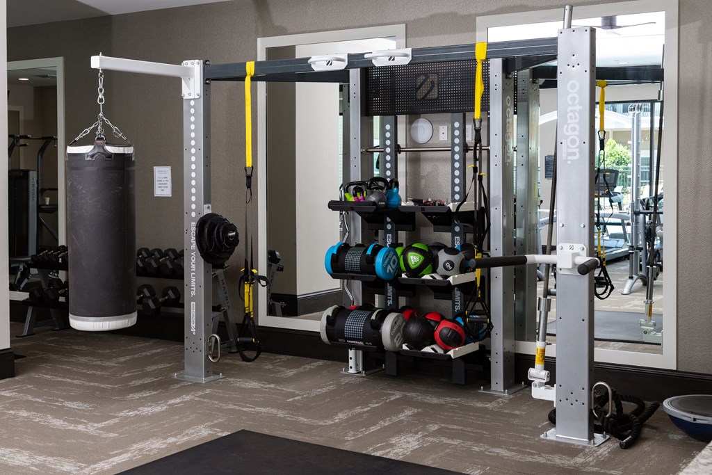 a gym with weights and a punching bag in it